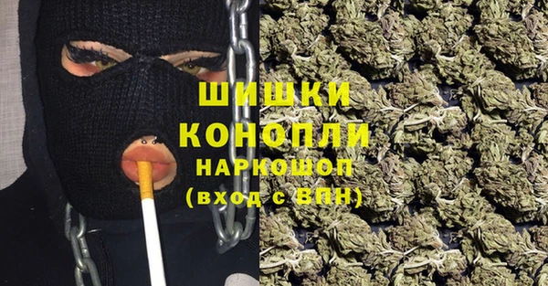 сатива Мегион