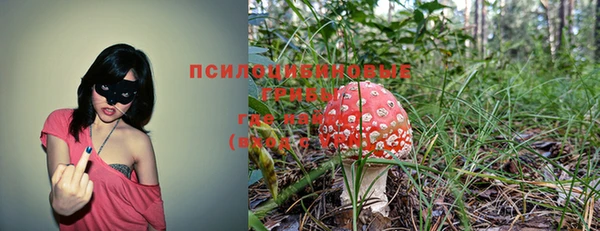 прущие крисы Медногорск