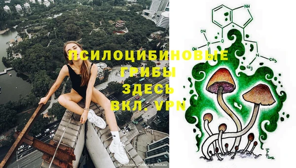 прущие крисы Медногорск