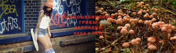 прущие крисы Медногорск