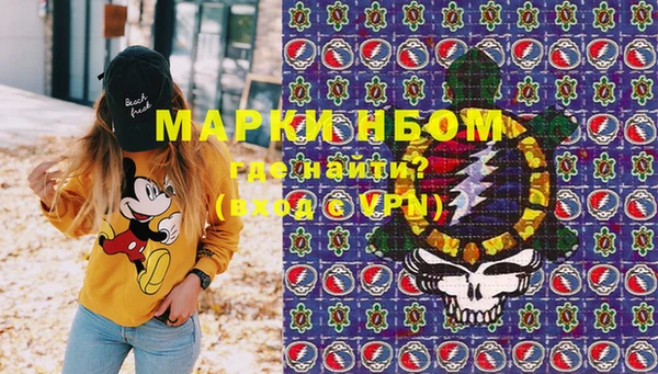 сатива Мегион