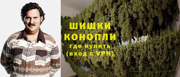 сатива Мегион