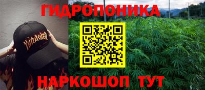 стаф Бугуруслан