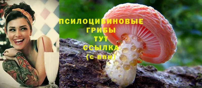 Галлюциногенные грибы Psilocybine cubensis  даркнет наркотические препараты  Ирбит 